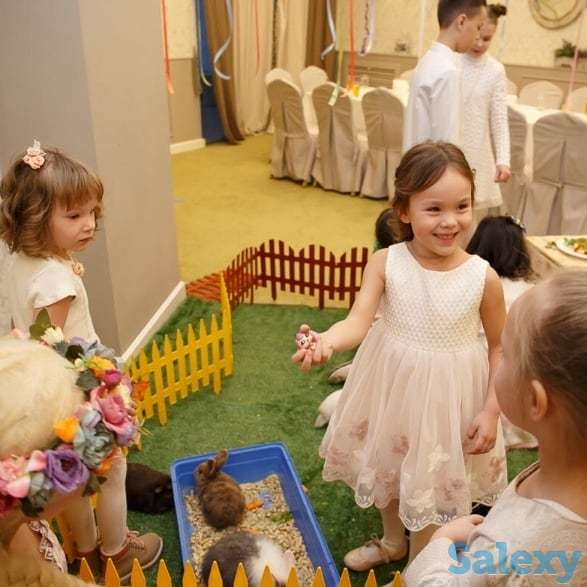 Выездной контактный зоопарк 