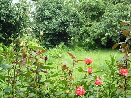 Продаётся коттедж, р-он Ст. Аэропорта, фотография 18