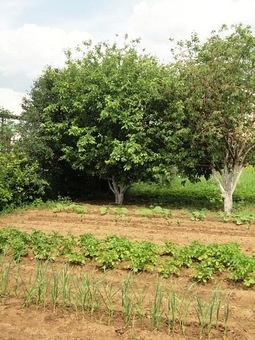 Продаётся коттедж, р-он Ст. Аэропорта, фотография 19