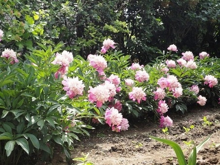 Продаётся коттедж, р-он Ст. Аэропорта, фотография 20