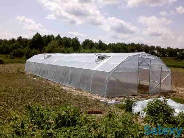 Теплицы Темиртау Караганда. Пленка для теплиц Корея в рулонах, фотография 10