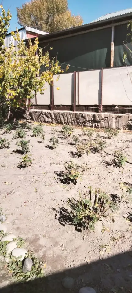 Продается дом, 74,1 кв.метра, тупик Некрасова 7, фотография 14