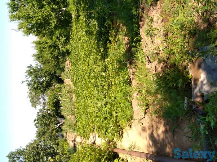 Продам дачу, фотография 3