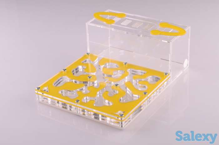 Муравьиная ферма, фотография 2