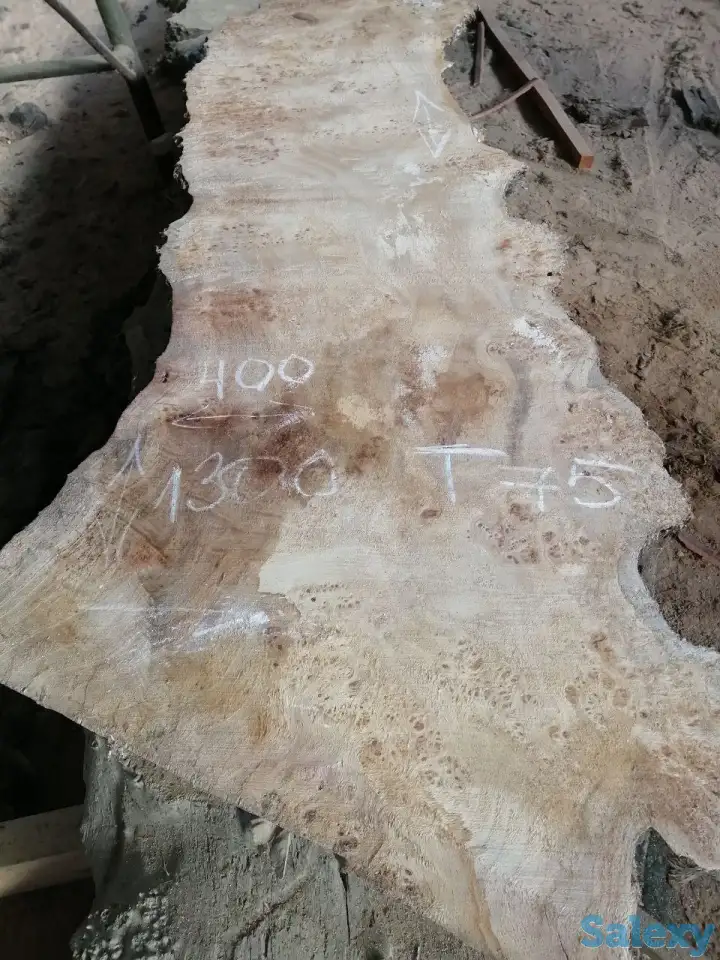 Слэбы от производителя из дуба, шпальтового бука, капового тополя, вербы, капового карагача, ясеня., фотография 6