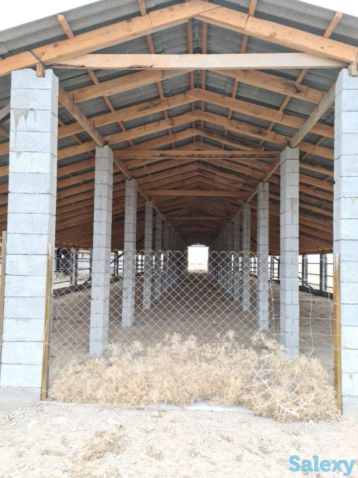 Фазенда (ферма), Капчагай-Курты 25 км, фотография 4