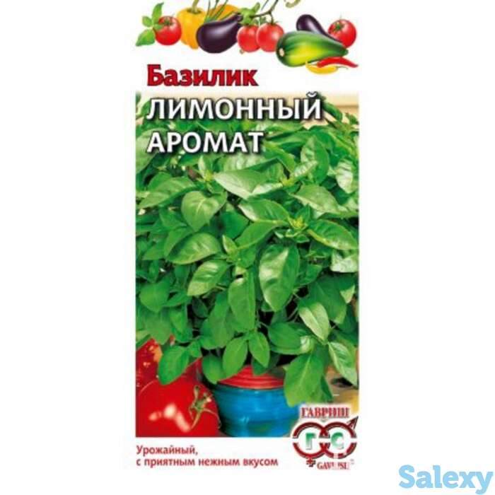 Семена Базилик Лимонный аромат, фотография 1