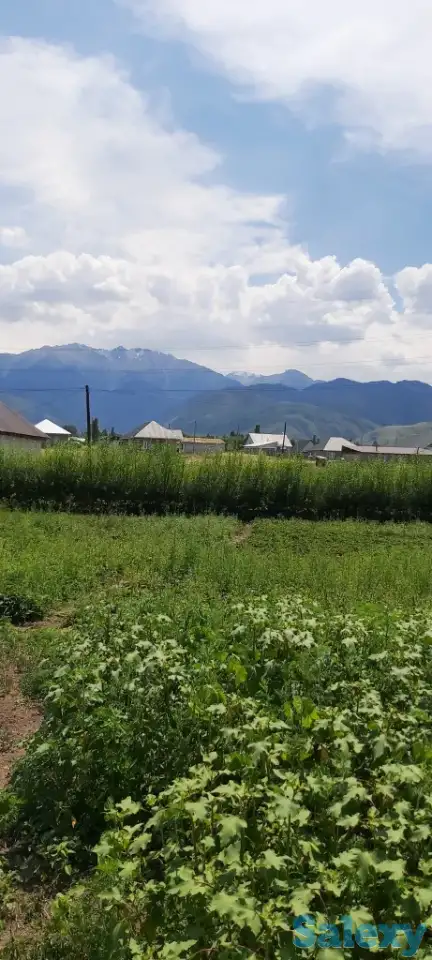 Продам участок 76 соток, р/н Кызыл Кайрат, фотография 3