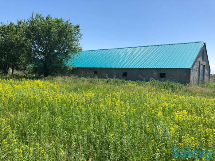 Участок в Талгаре 3,6 га, фотография 4