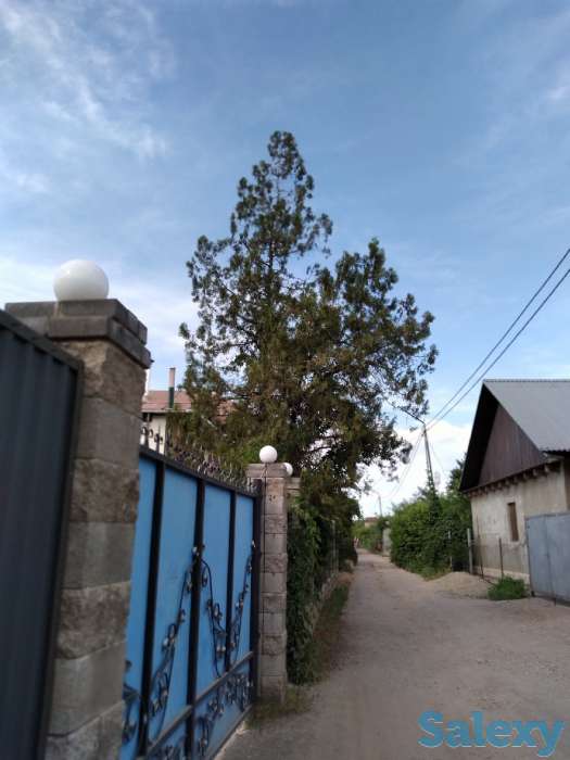 Дача в аренду.  Иссык., фотография 2