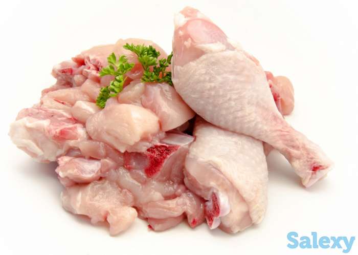 Мясо курицы оптом, фотография 1