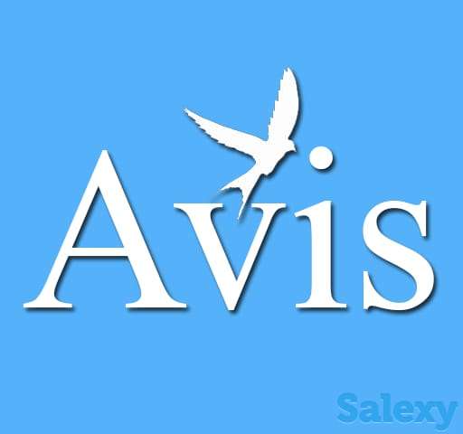 Обучение в Корее. Языковые курсы. Стипендия KGSP, фотография 1