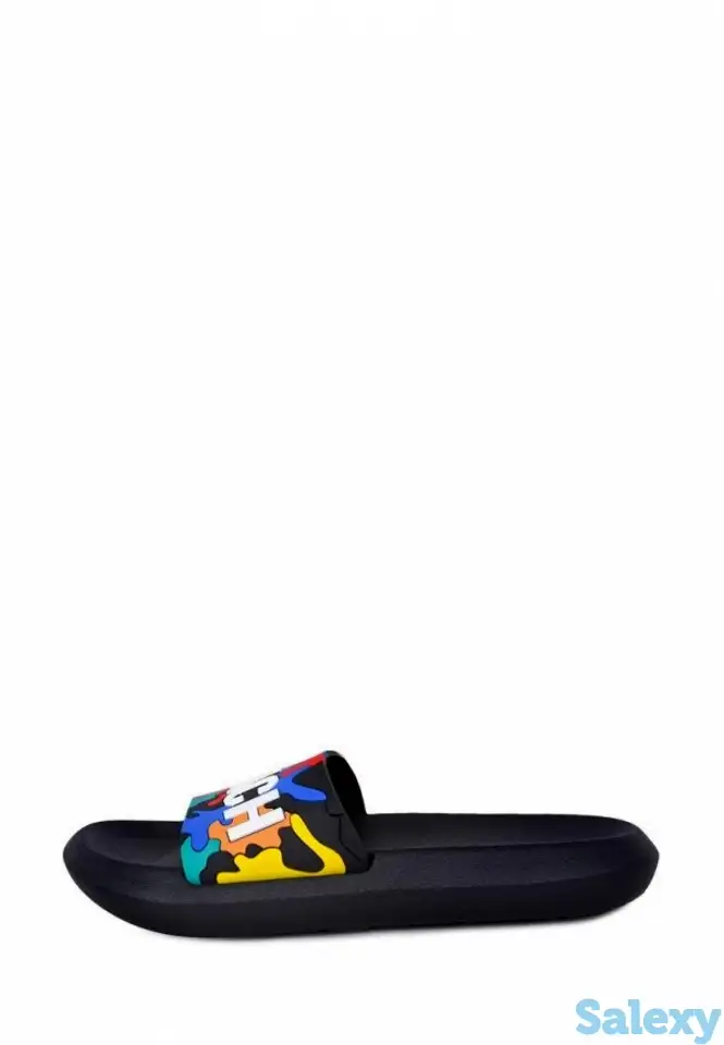 Сланцы t.taccardi, фотография 1