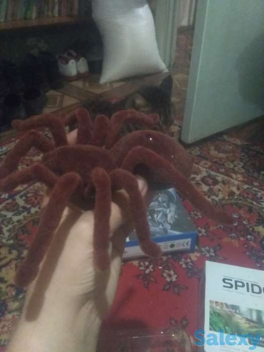 Продам паука на пульте управления, фотография 2