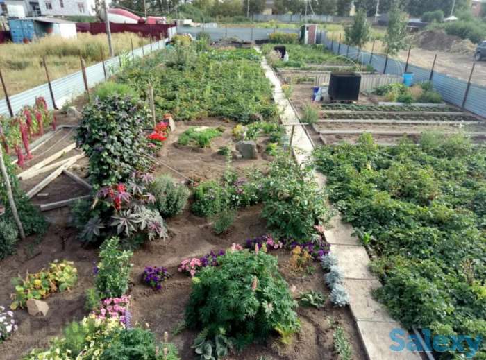 дача, с/т Агроном, м-н Интернациональный, уч-хоз., фотография 4