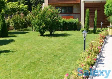 Озеленение, фотография 1