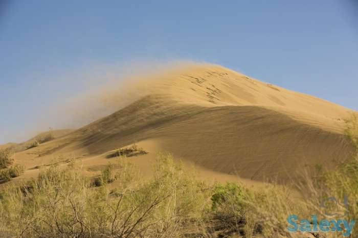 Экотуры выходного дня в Алматинской области, фотография 1