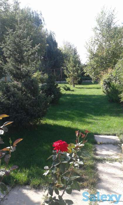 продам дом-дачу с пропиской для жилья, 19км по Ташкентской Рядом озеро и Спорт комплекс, фотография 2