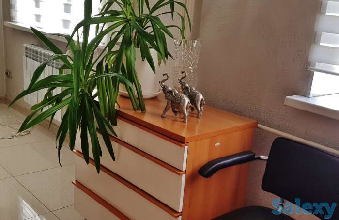 Продам тумбу с выдвижными ящиками, функциональная, цвет белый + бук в отличном состоянии, фотография 1