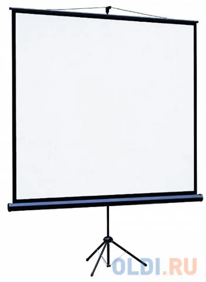 Экран переносной на штативе lumien eco view 220 x 220 см, фотография 1