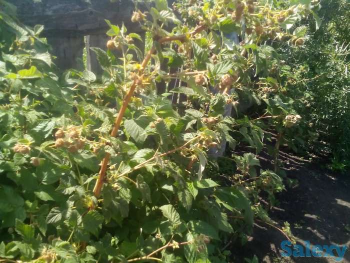 2х этажный дом в живописном месте России, фотография 7