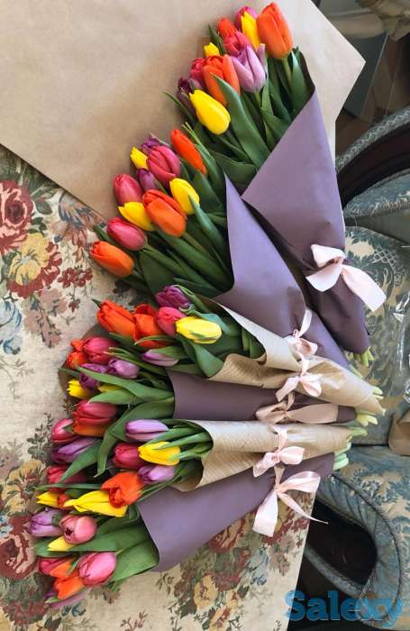 Продам тюльпаны красивые к 8 марта, фотография 4