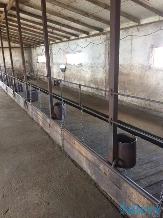 Продаётся животноводческая ферма, фотография 3