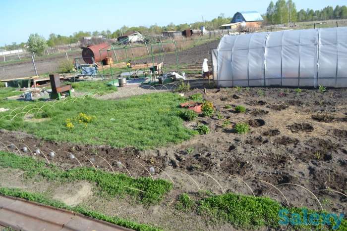 Продам дом Алтайском край, Смоленский район, фотография 6