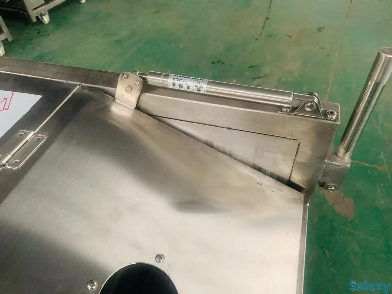 Машина для мойки и очистки корнеплодов Vega ST 800, фотография 3