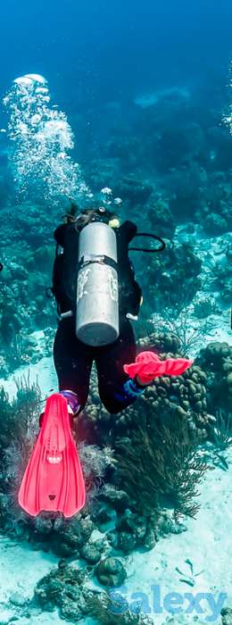 Ласты шторм, dark olive,, фотография 6