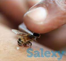 Апитерапия  в Алматы, фотография 1