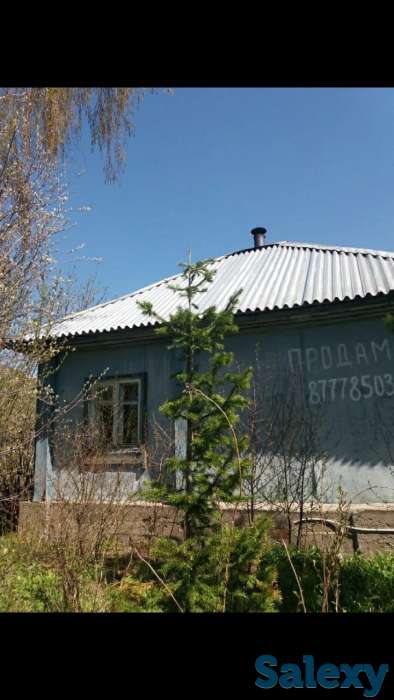 Продам дом в пос. Горная Ульбинка, фотография 2