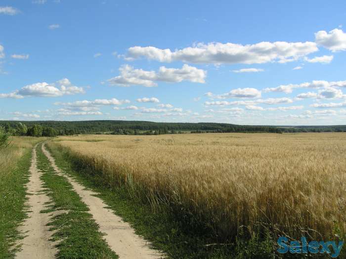 Коммерческое предложение по продаже 5000га земельных угодий в Московской области Росия, фотография 1