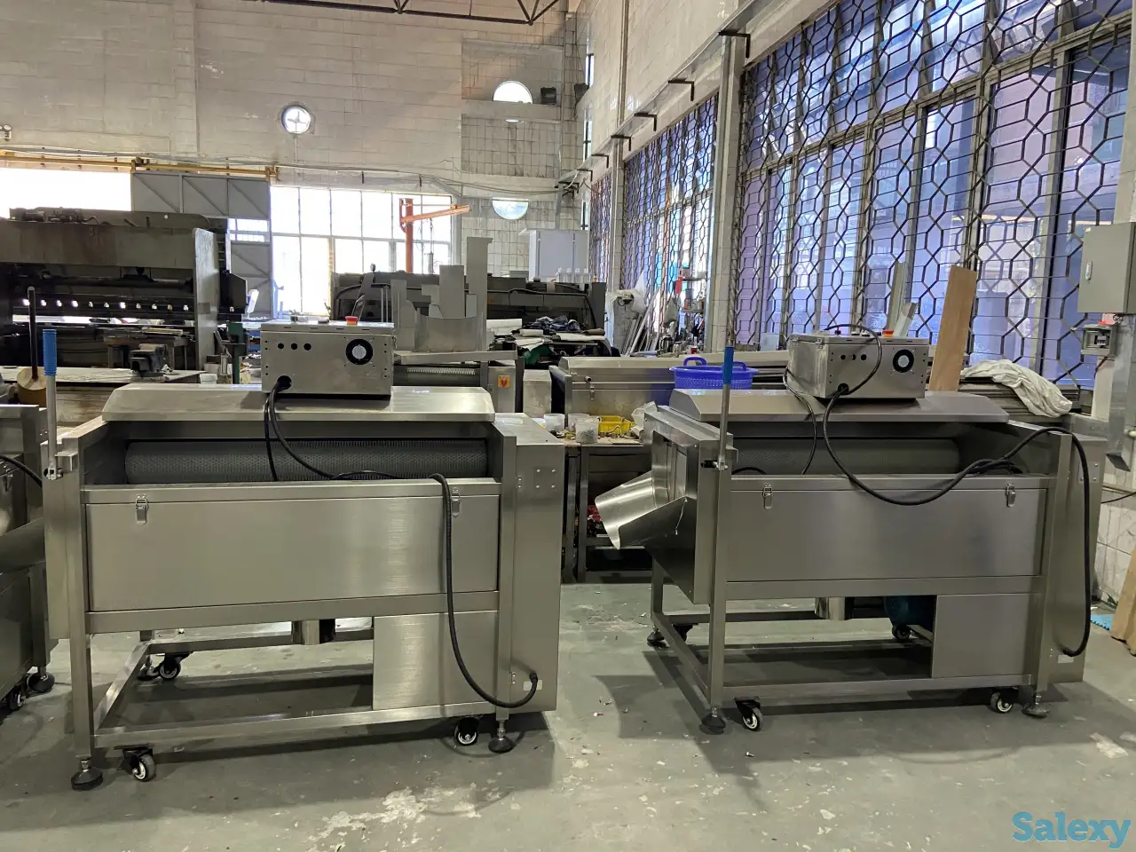 Машина для мойки или очистки корнеплодов Vega ST 1200, фотография 4