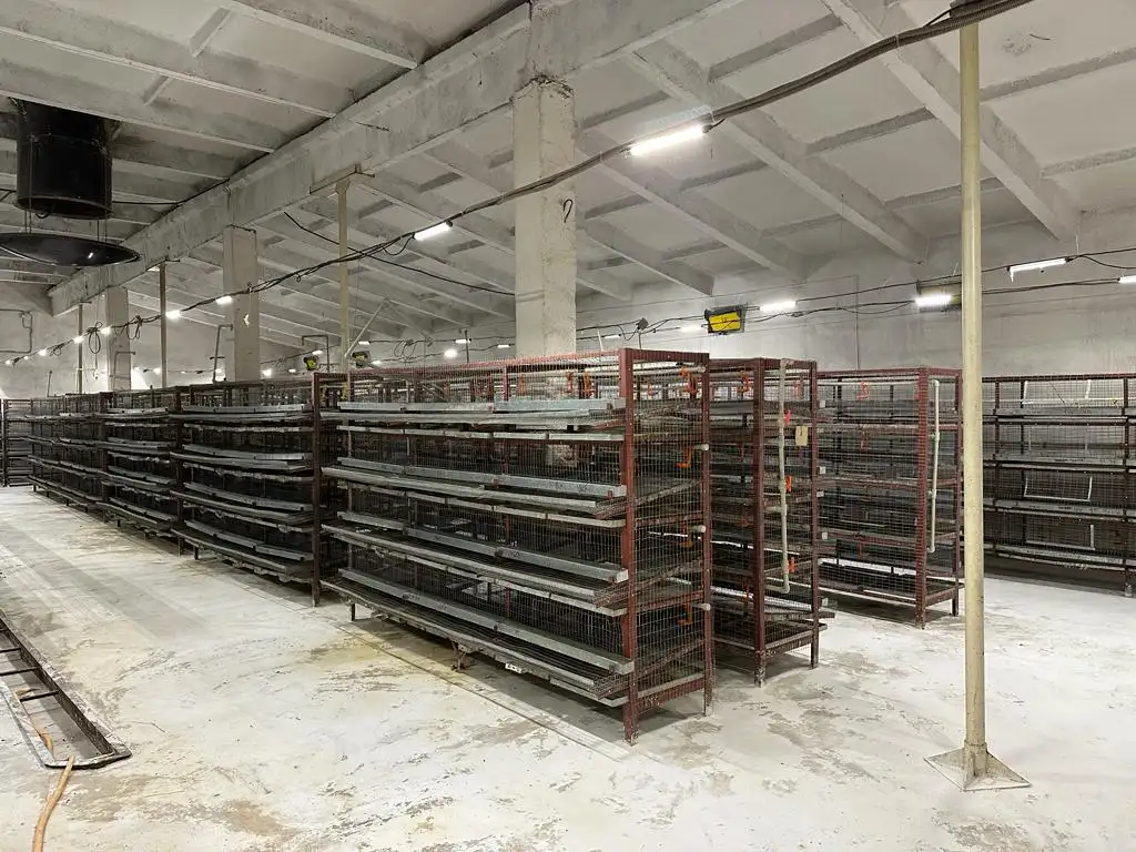 Продается готовый бизнес ферма по производству перепелиных яиц в Акмолинской области, фотография 1