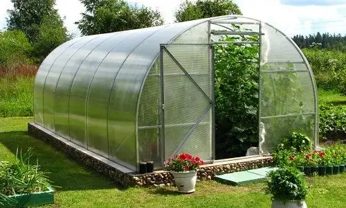 Теплица дачная из поликарбоната, фотография 9