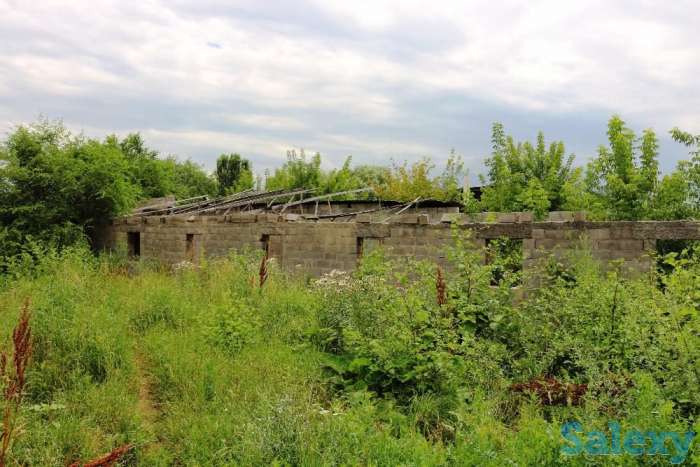 Промбаза, Рынок Алтын Орда 1475, фотография 4