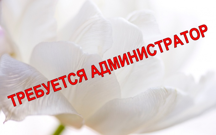 требуется администратор (Закрытый женский центр), фотография 1