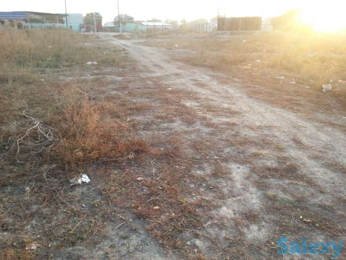 продам 15  соток в с.Байсерке, Илийский район, фотография 7