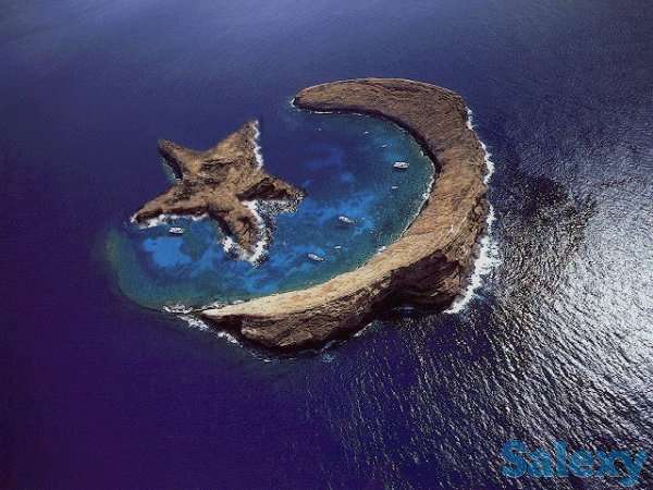 4 дня скидок на турецкие отели 4-5*!!! вылет 30.06!, фотография 4