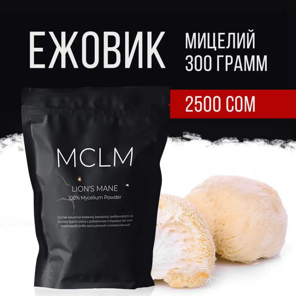 Ежовик гребенчатый, фотография 1