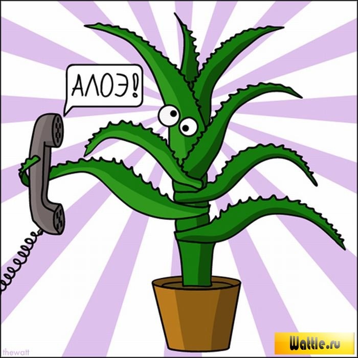 Администратор в офис, фотография 2