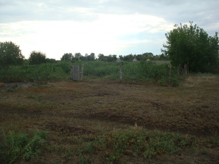 Продам участок, За Дарьинском, фотография 3