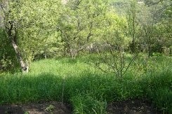 Продам земельный участок, Алматинская обл.карасайский район, ПКСТ 