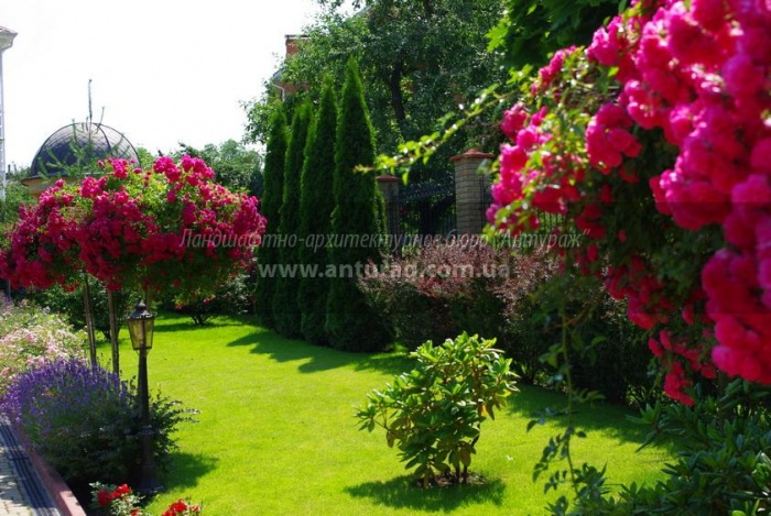 Курсы садовников, ландшафтных дизайнеров, фотография 2