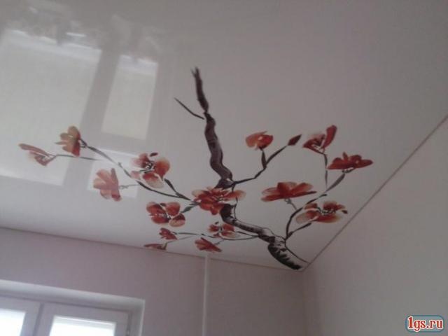 Натяжные потолки, фотография 18