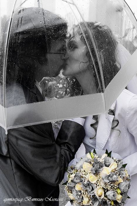 фото видео, фотография 8