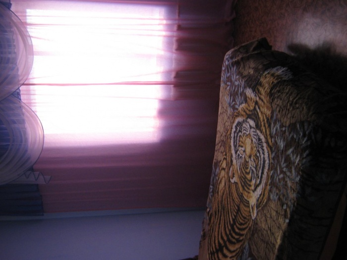 Сдам  посуточно, ул.Бульвар Гагарина 27, фотография 3