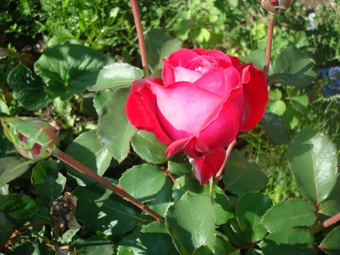 Продам особняк!!!, фотография 7