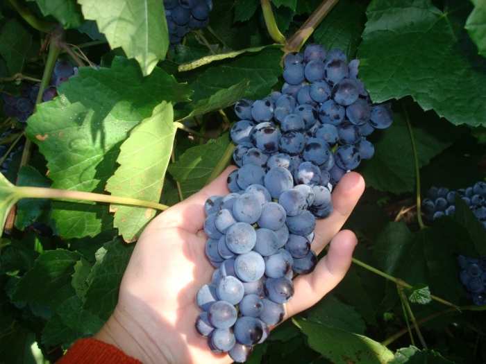 Продам особняк!!!, фотография 8